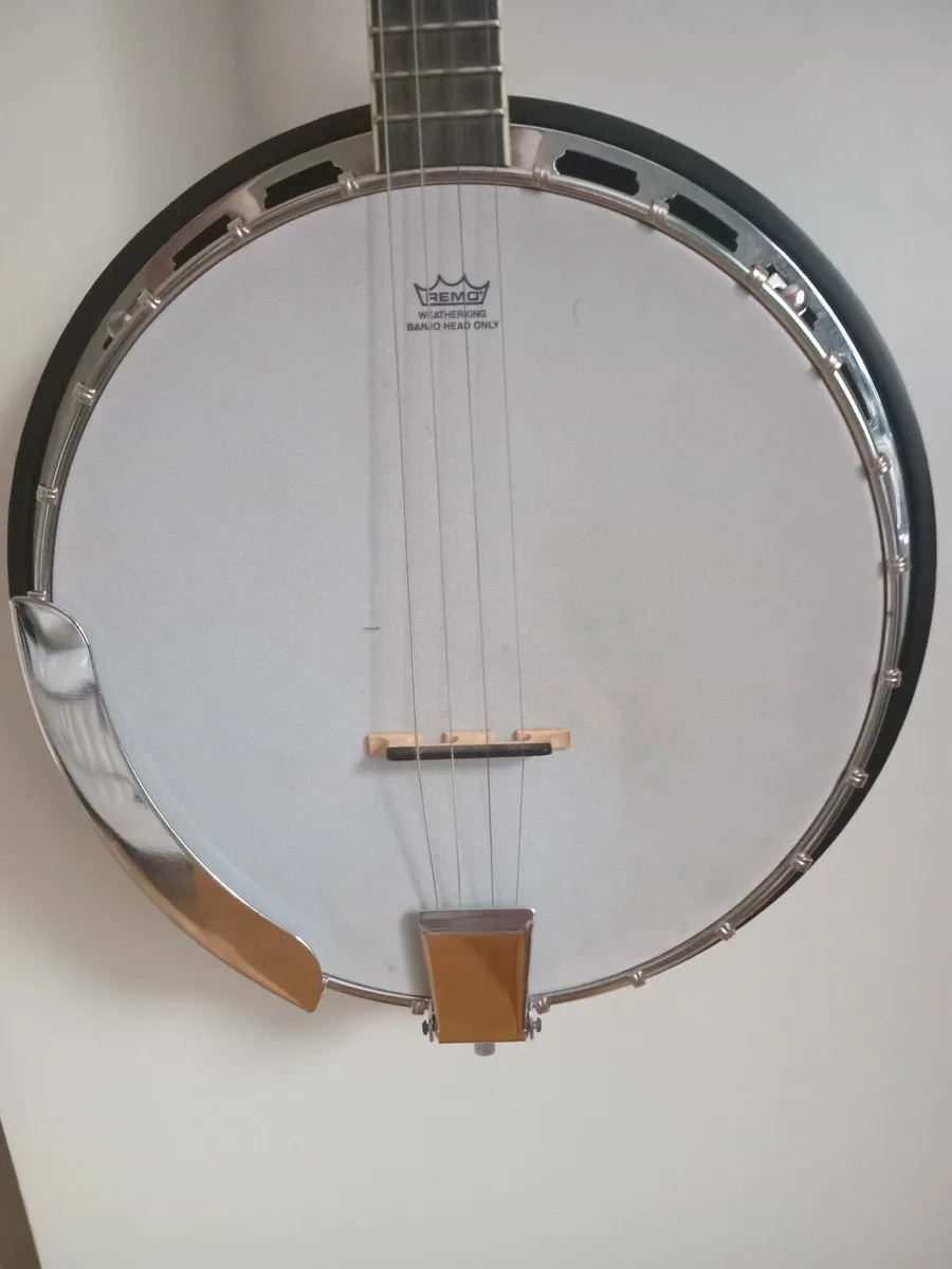 Richwood Tenor Banjo - Image 4