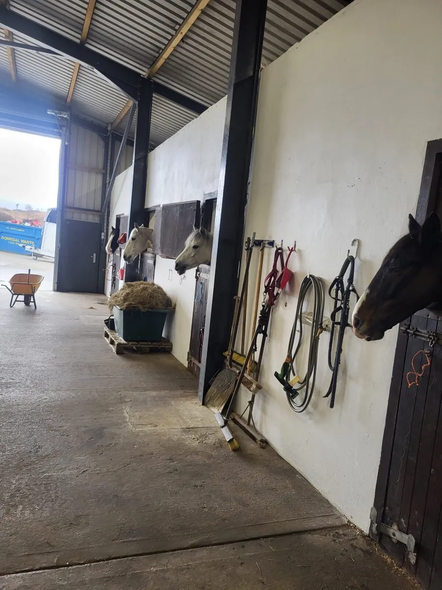 Livery, Schooling and Breaking Yard. - Image 3