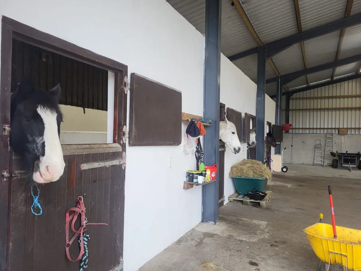 Livery, Schooling and Breaking Yard. - Image 4