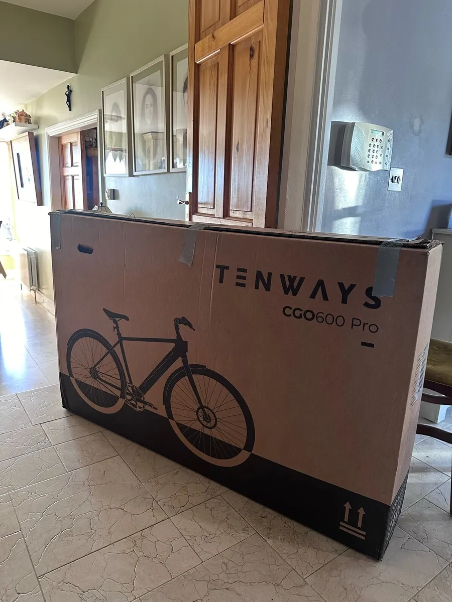 Te ways CGO600 Pro Electrix Bicycle - Image 1