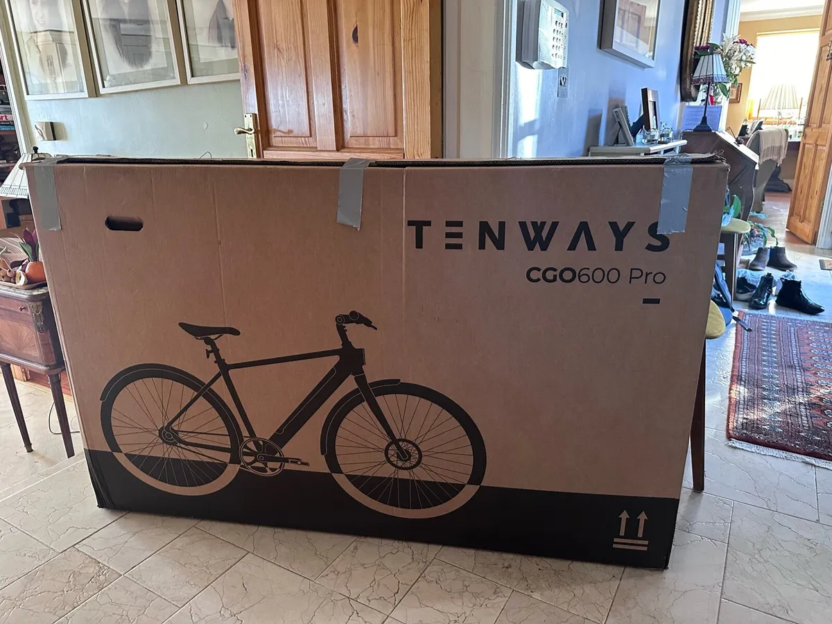 Te ways CGO600 Pro Electrix Bicycle - Image 3