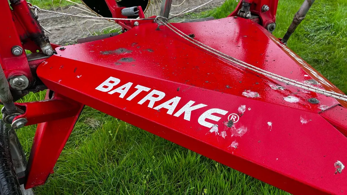 Enorossi Batrake - Image 4