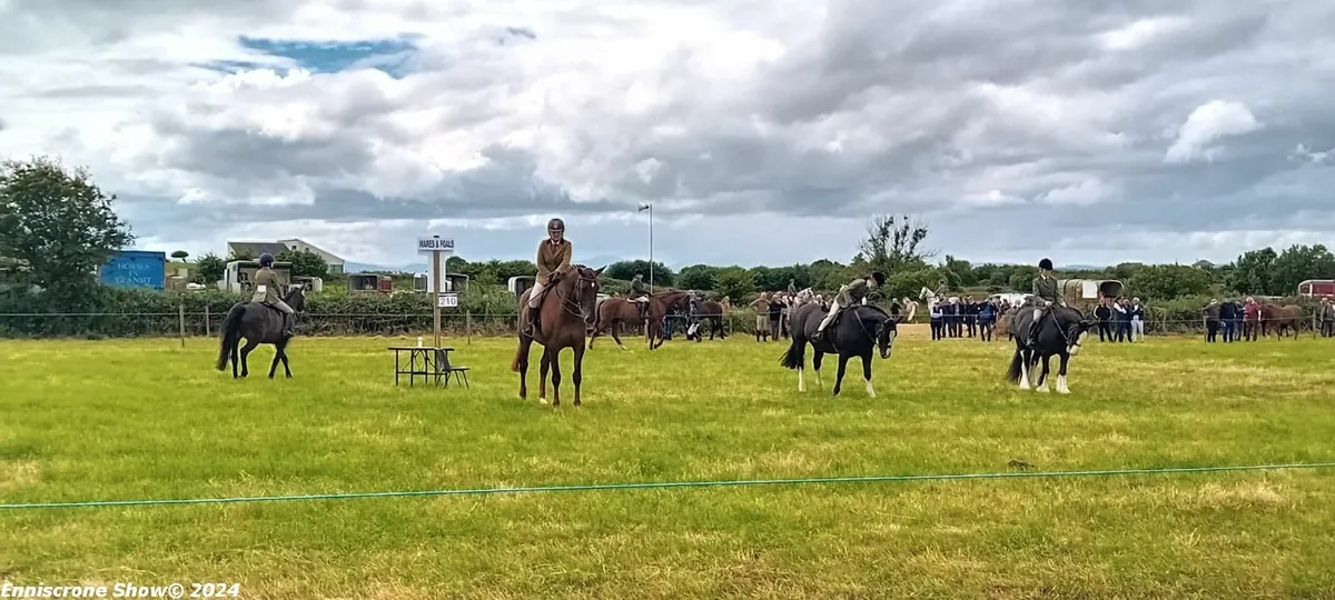 Enniscrone Agricultural Show 2025 - Image 4