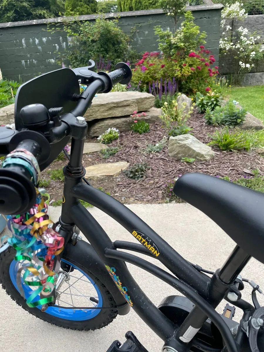 Bicycle - Image 1