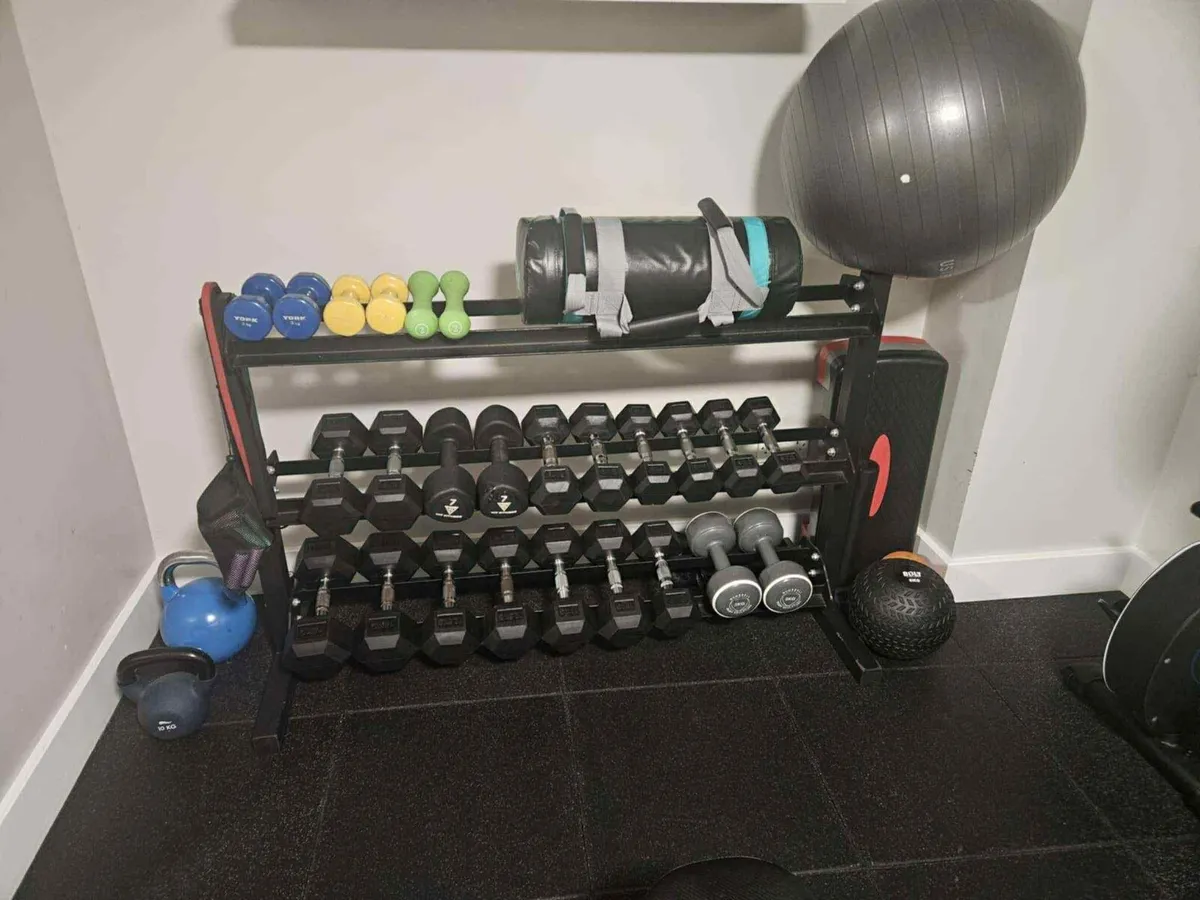 Dumbells & Gymstand