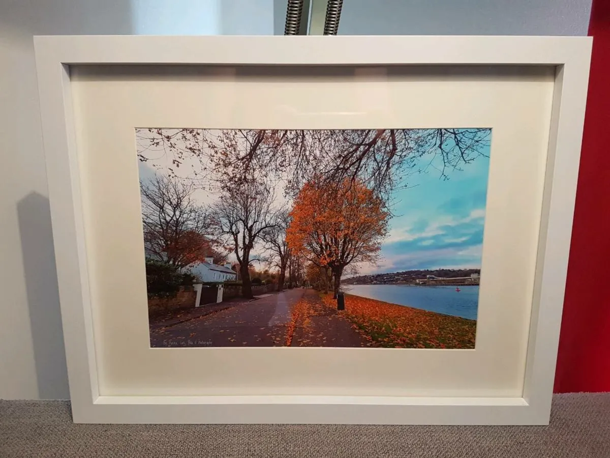 The Marina, Cork - Image 4