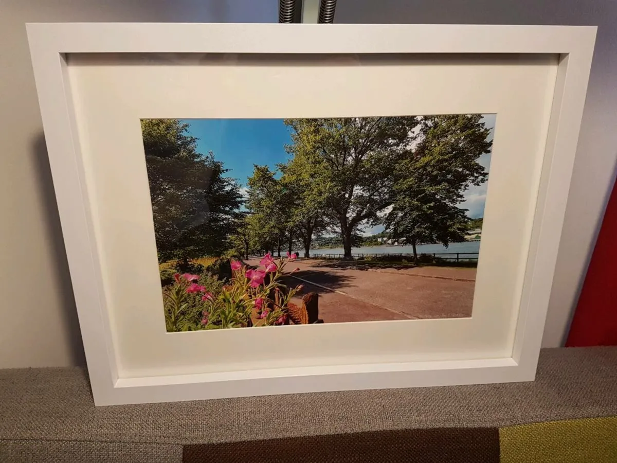 The Marina, Cork - Image 1
