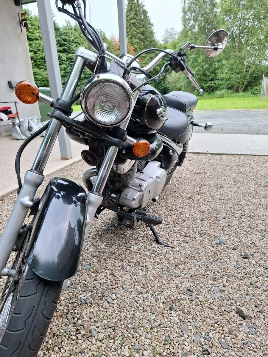 Suzuki VL 125 - Image 4