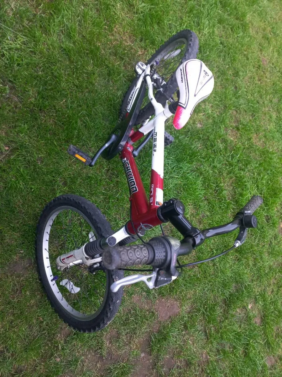 bicycle - Image 1