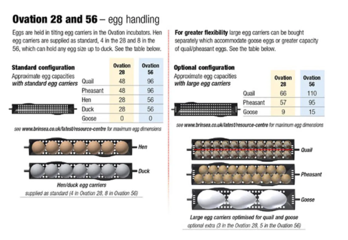 Brisnea 56 egg incubator - Image 3