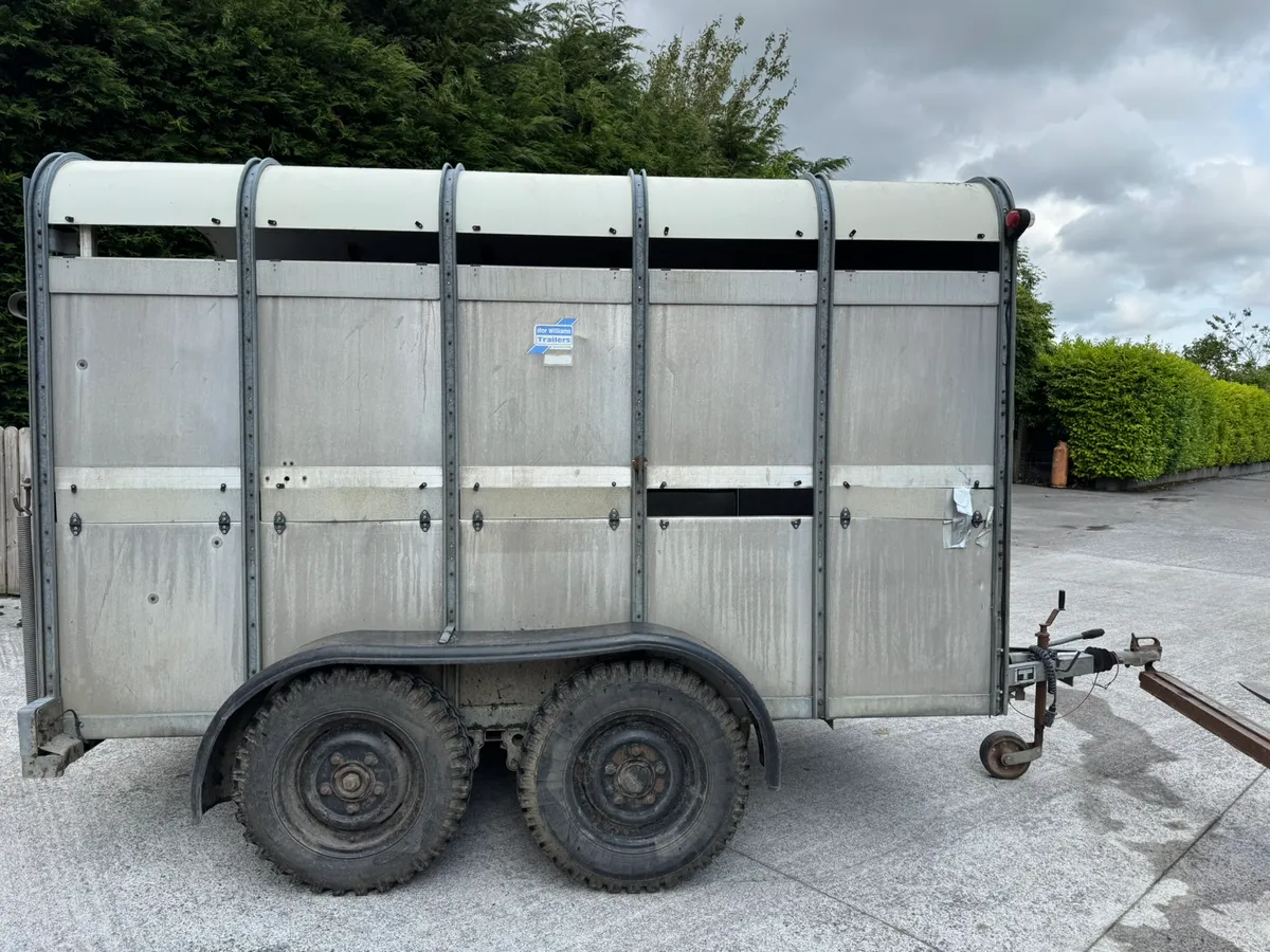 Ifor Williams livestock trailer - Image 1