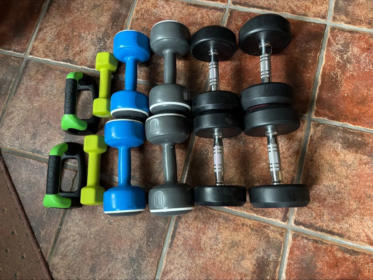 Assortment of Weights - Image 1