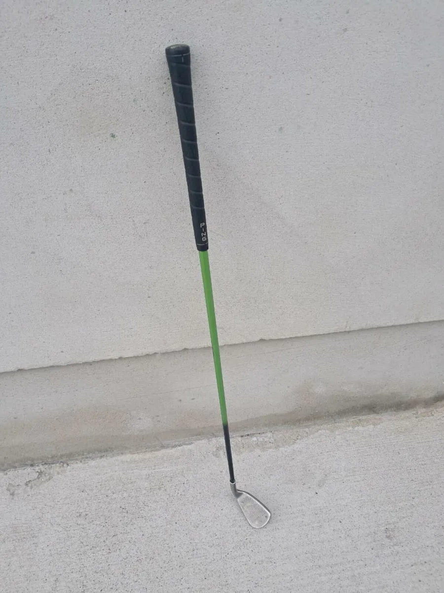 LH Ping Rapture - Image 2