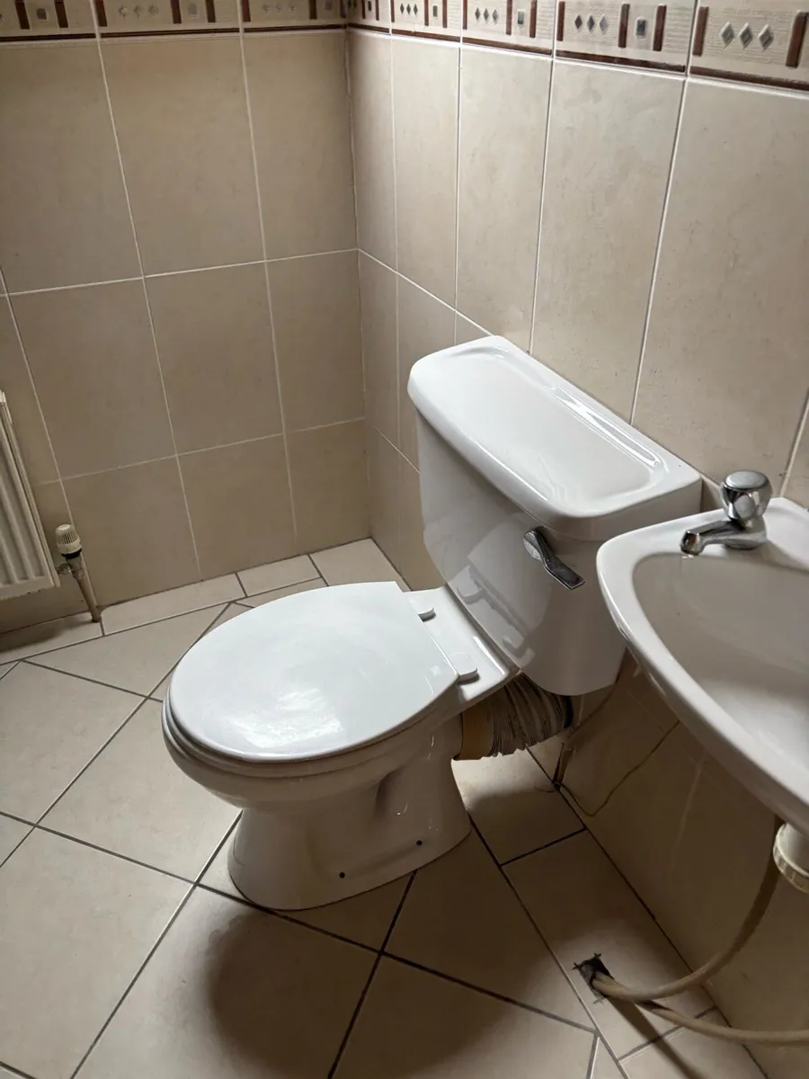 Hand Basin & Toilet - Image 2