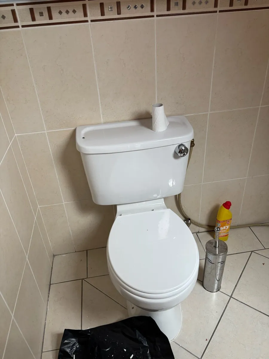 Hand Basin & Toilet - Image 3