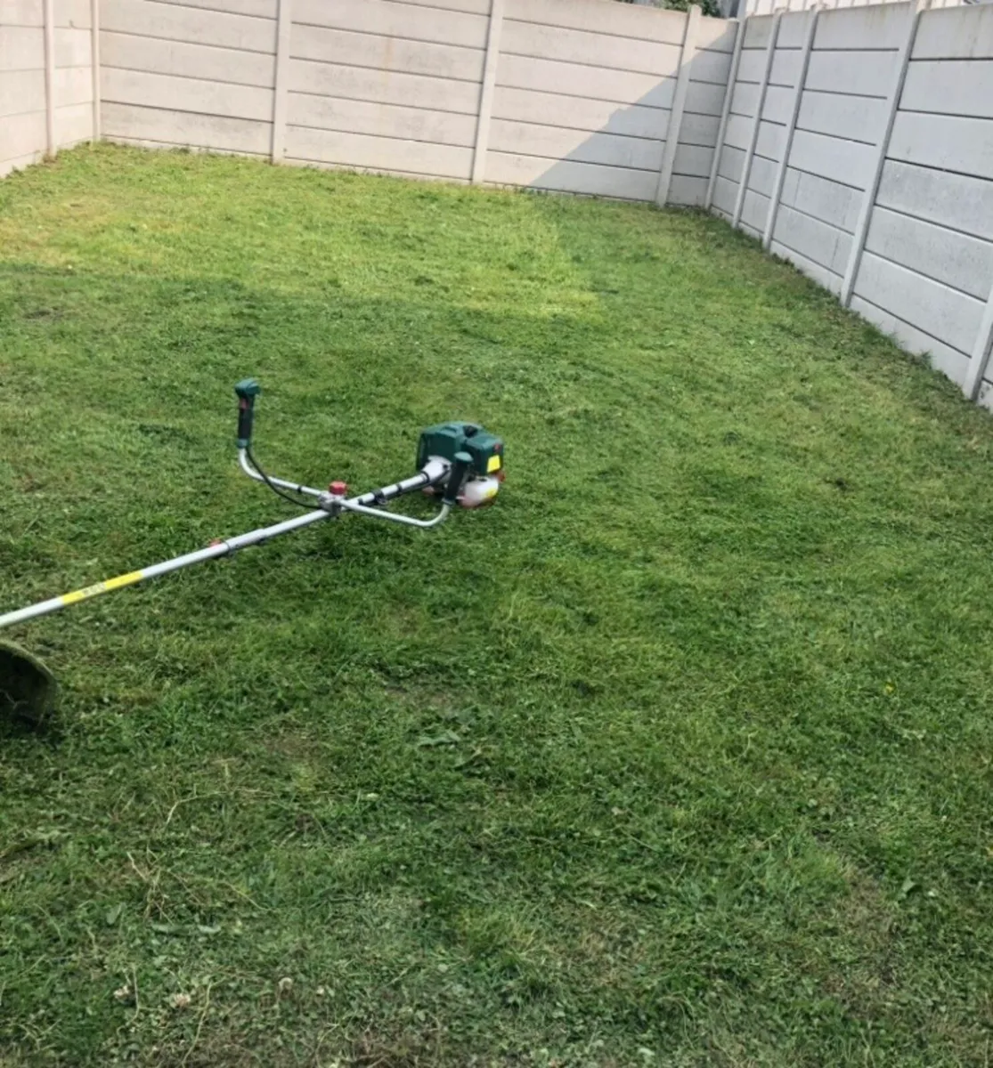 Grass cut - Image 1