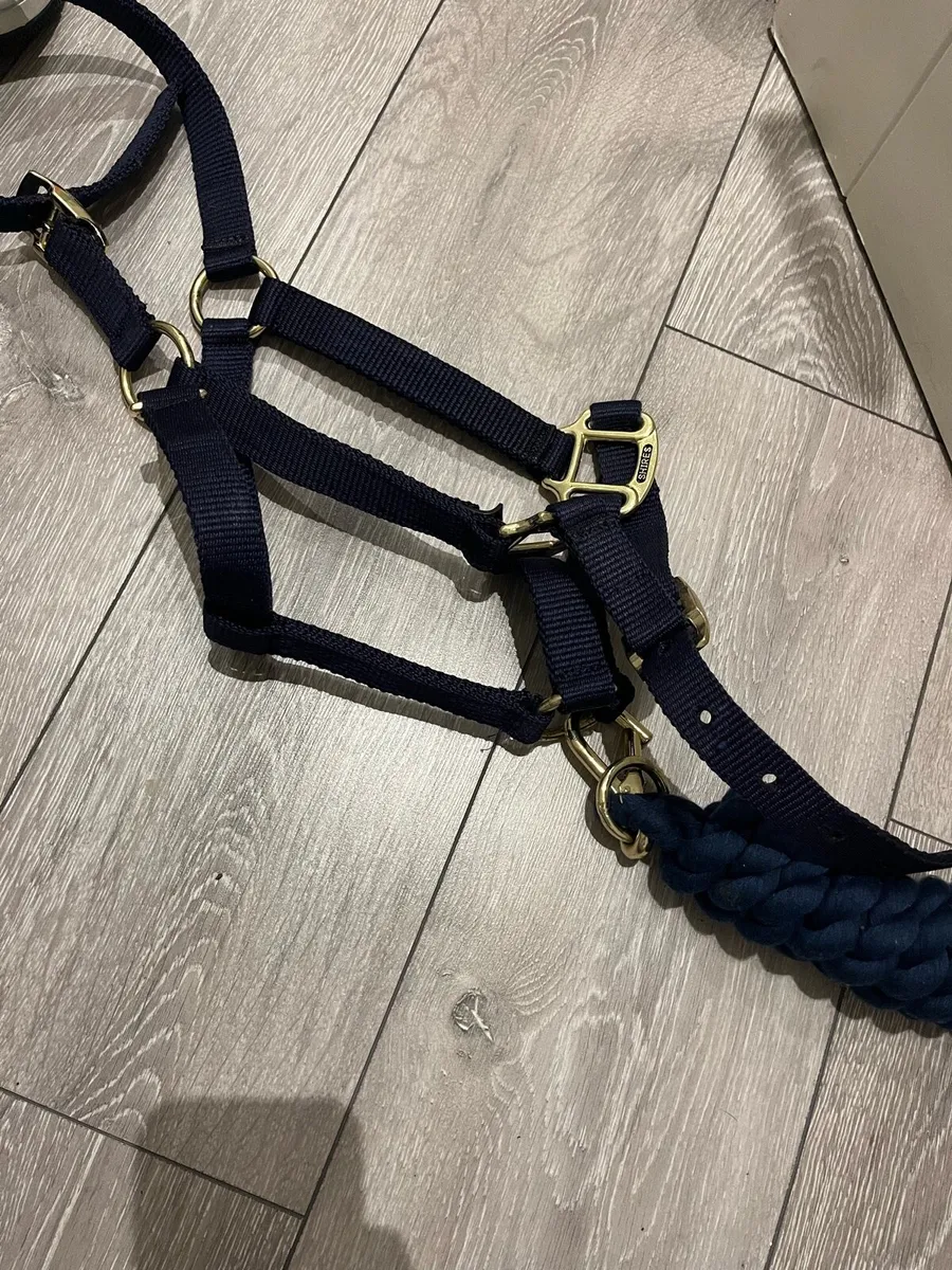 head collars & lead ropes - Image 1