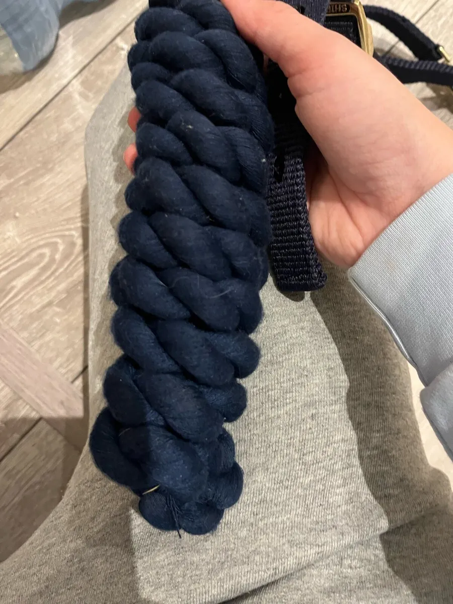 head collars & lead ropes - Image 2