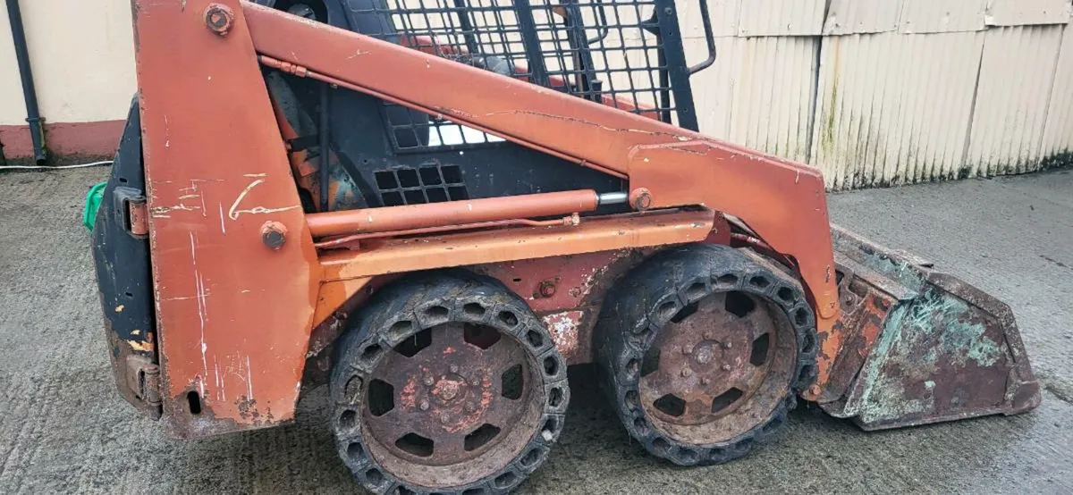 Bobcat