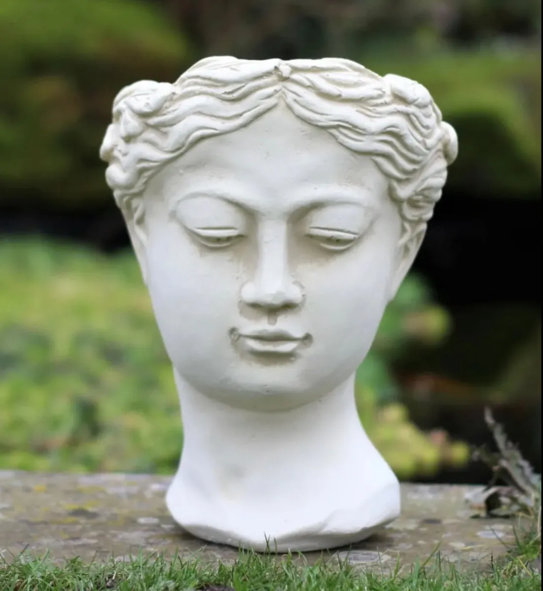 Garden Ornament Plant Pot Planter Outdoor/Indoor - Image 2