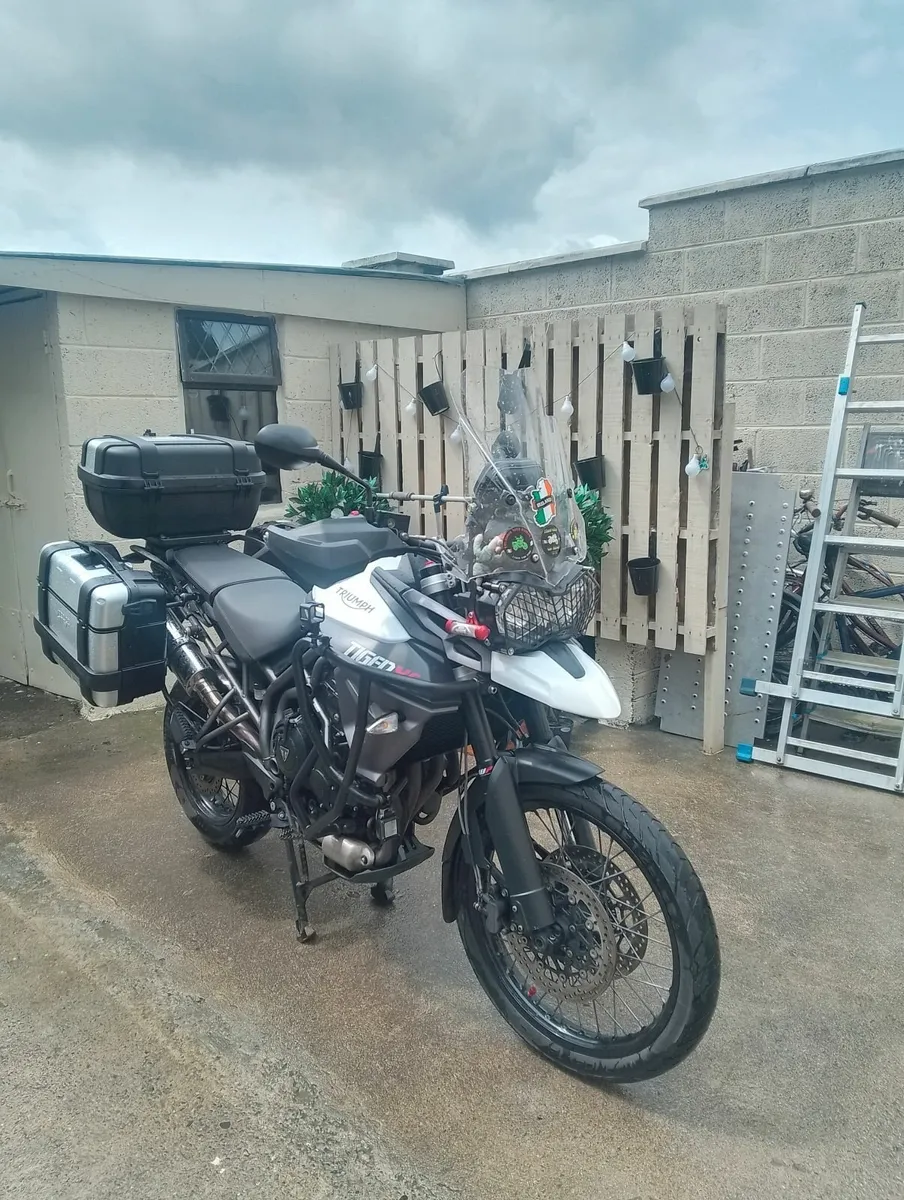 Triumph Other 2017 - Image 1