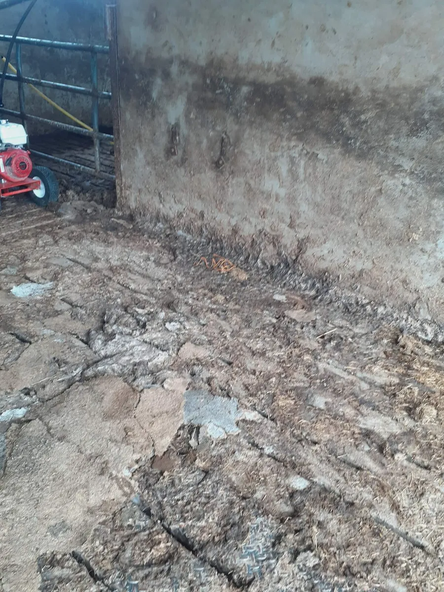 Power washing service available - Image 1