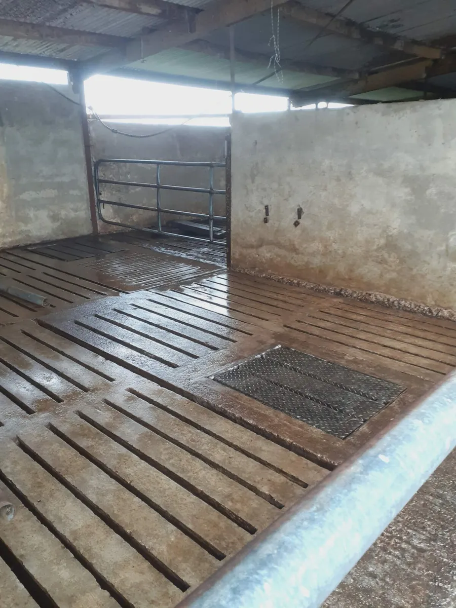 Power washing service available - Image 2