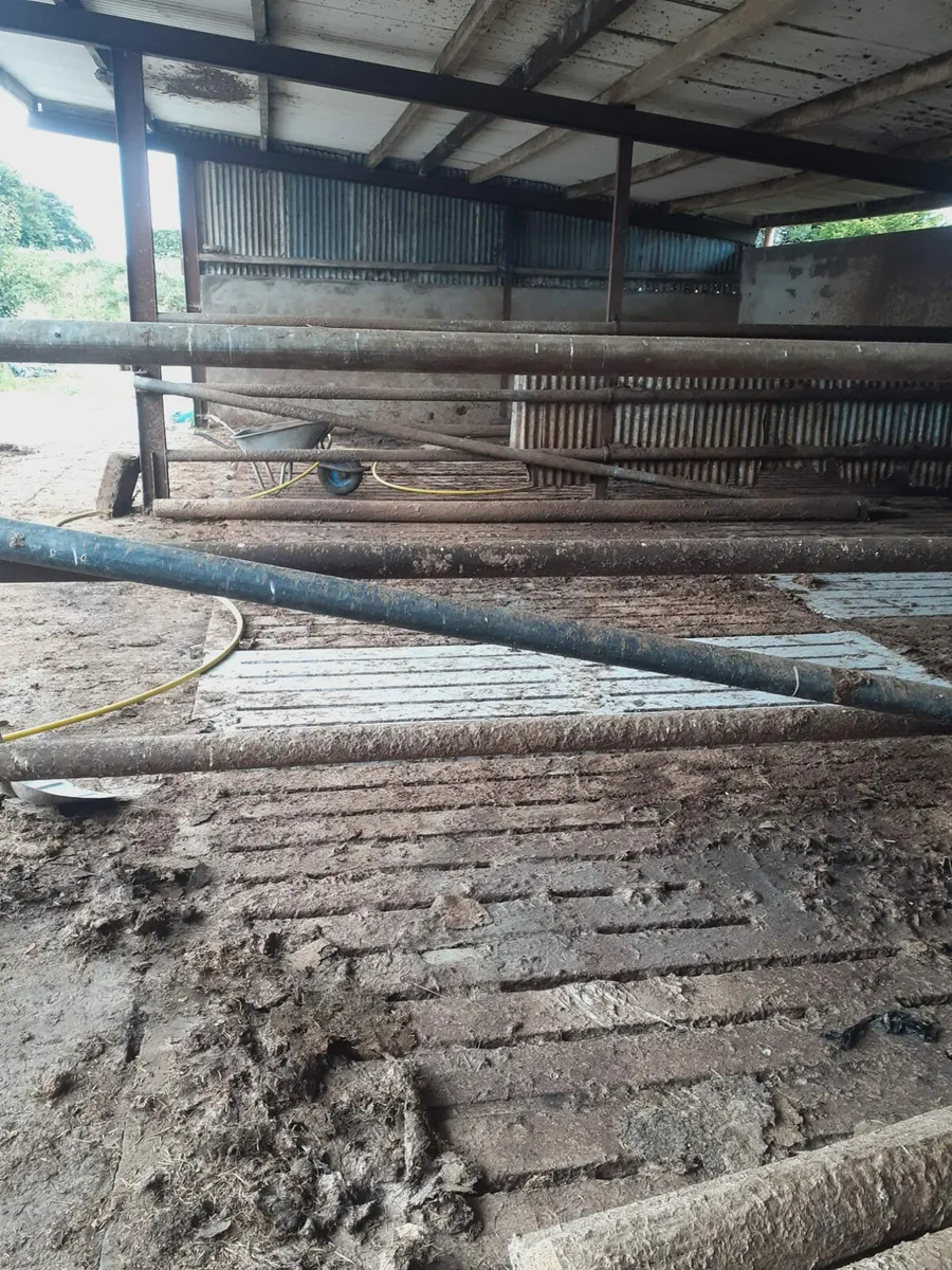 Power washing service available - Image 3