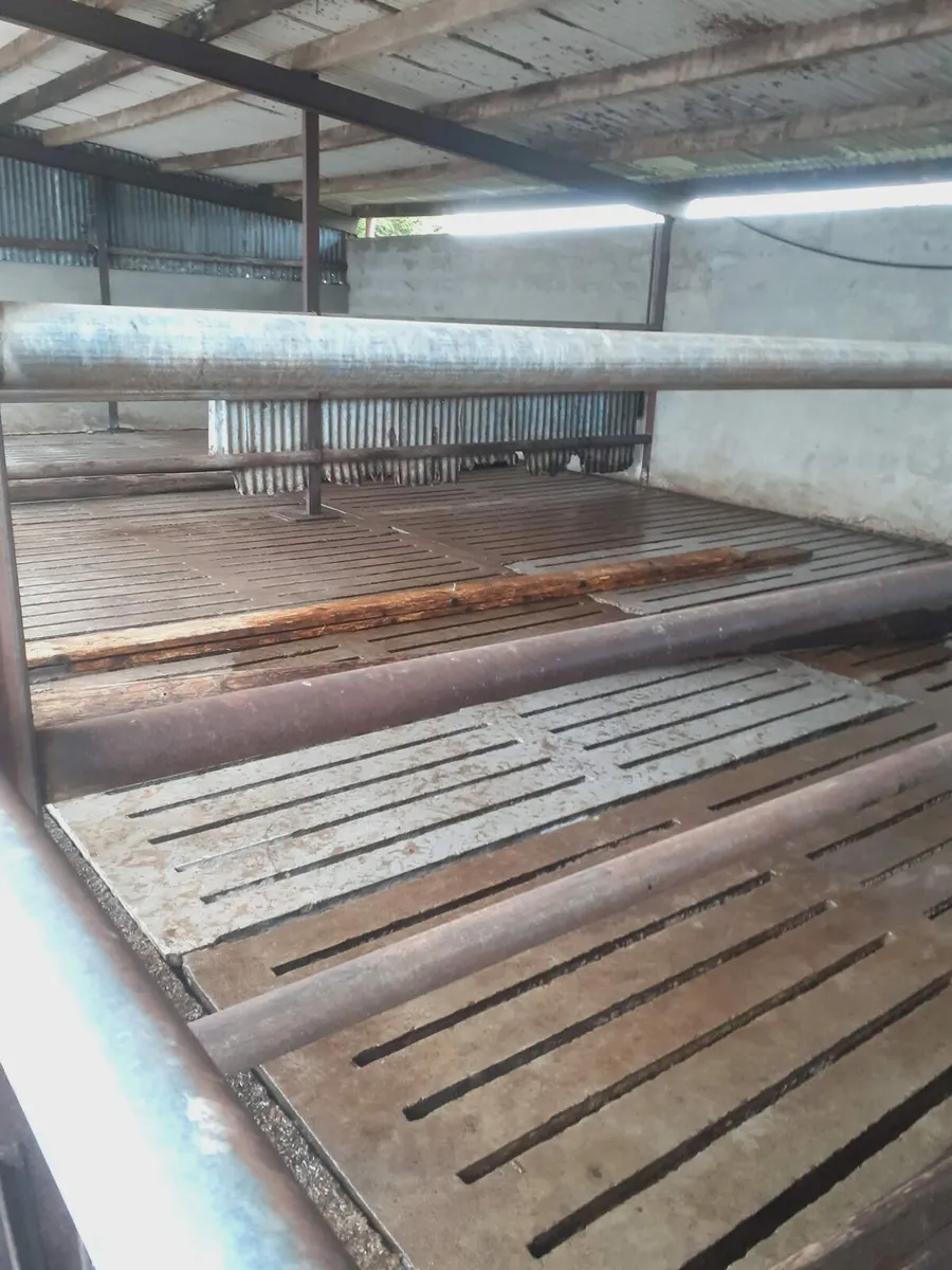 Power washing service available - Image 4