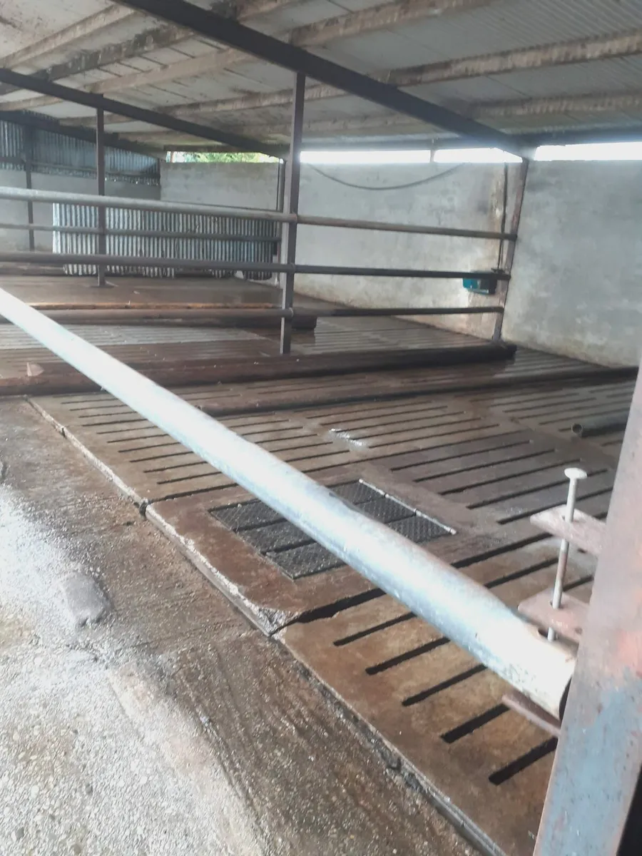 Power washing service available - Image 4