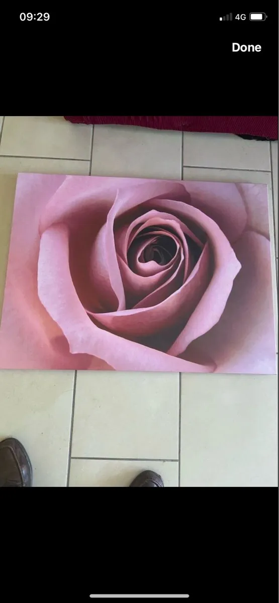 Large Rise Canvas Art - Image 1