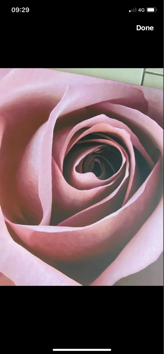 Large Rise Canvas Art - Image 2