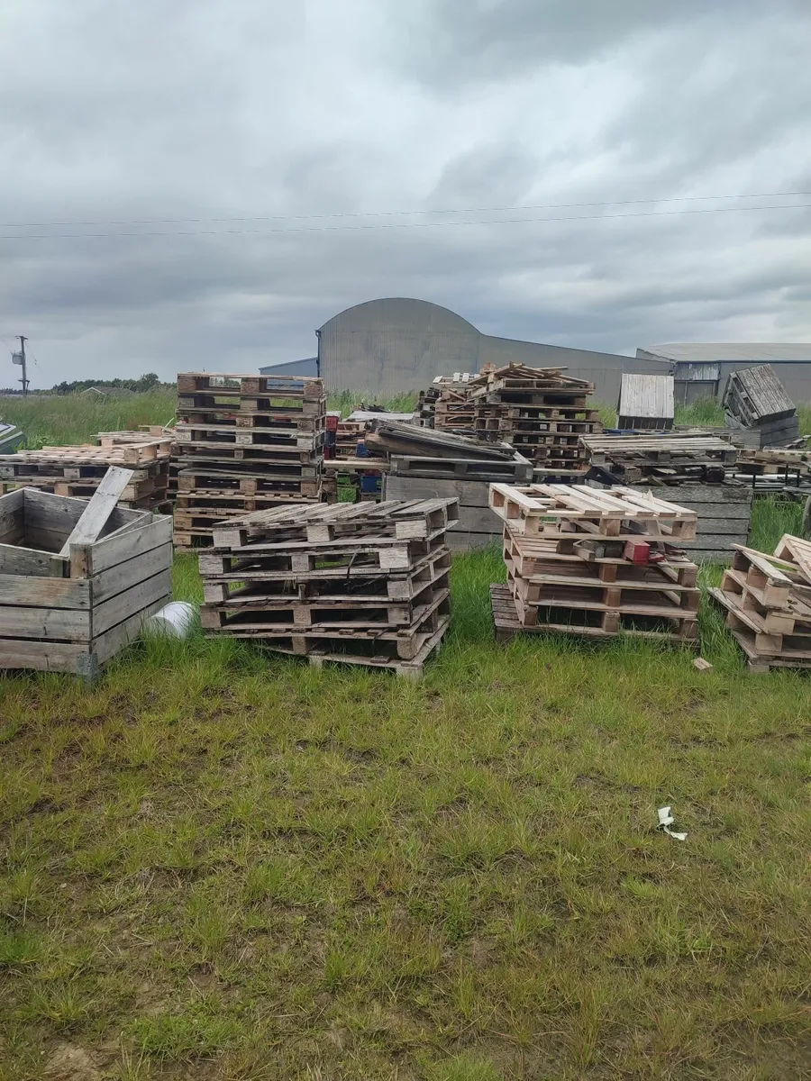 Free Pallets for Firewood – Ideal for Burning - Image 1