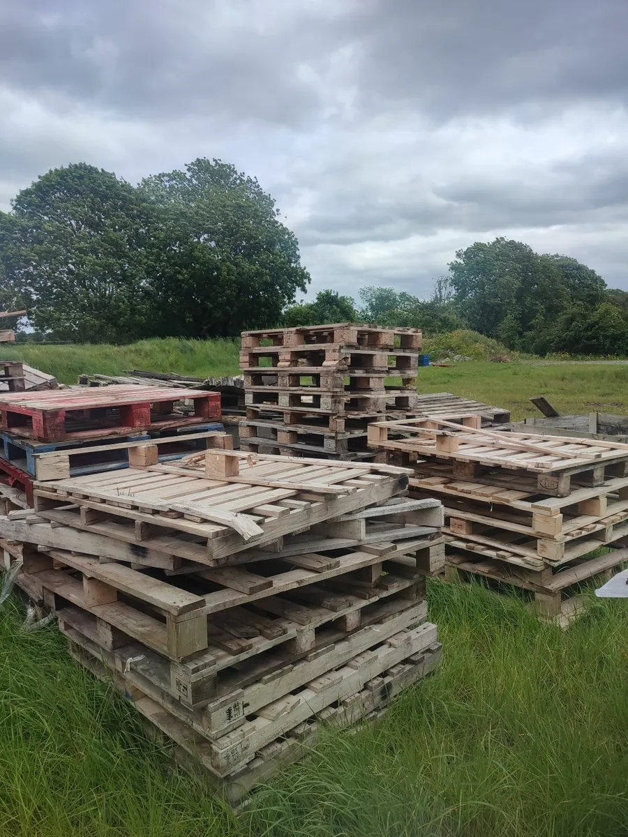 Free Pallets for Firewood – Ideal for Burning - Image 2
