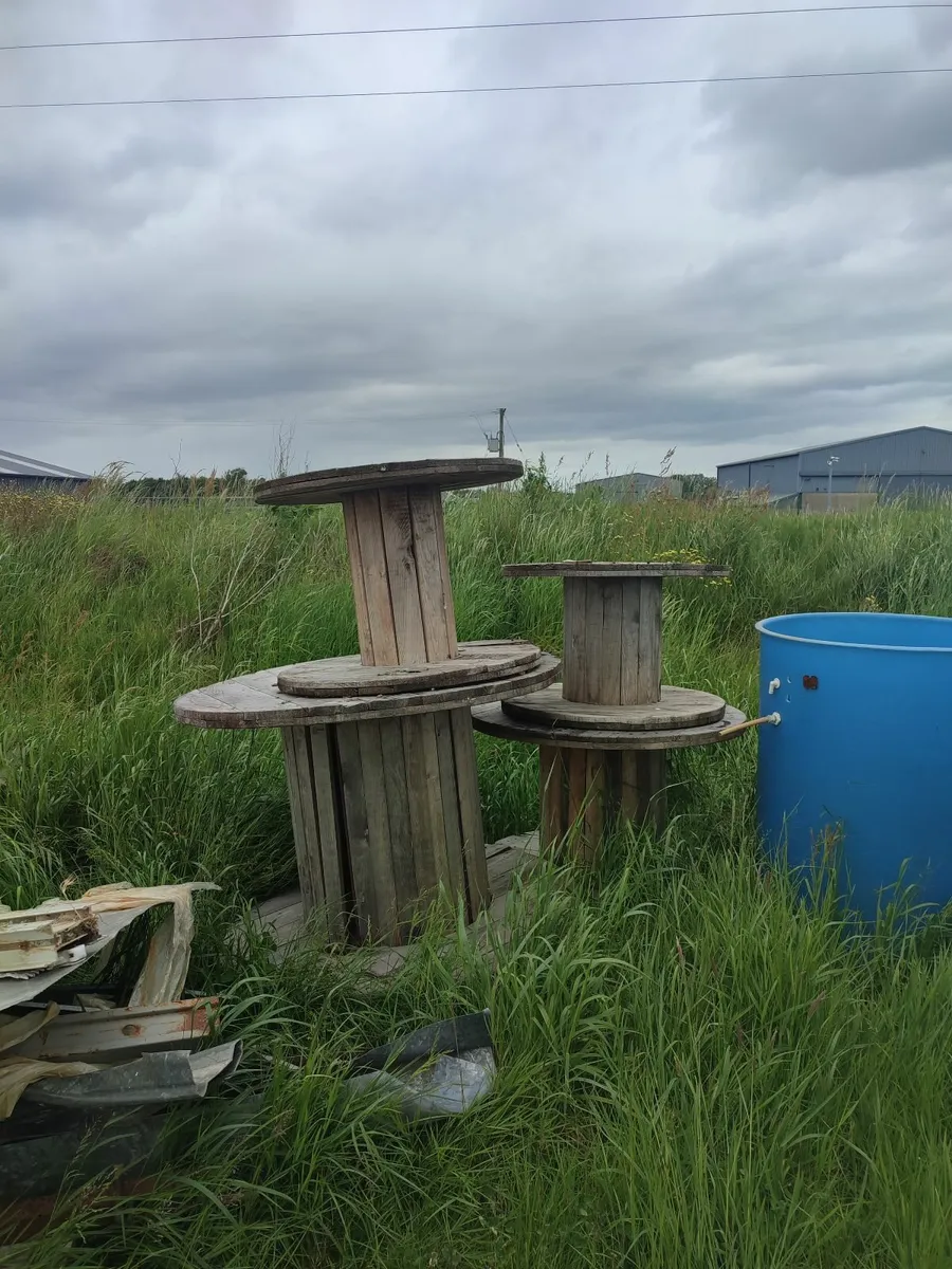 Free Pallets for Firewood – Ideal for Burning - Image 3