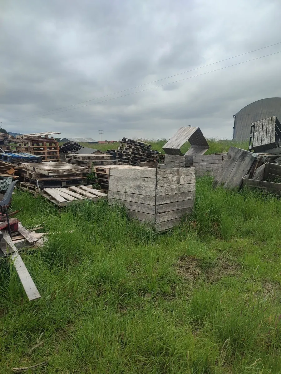 Free Pallets for Firewood – Ideal for Burning - Image 4