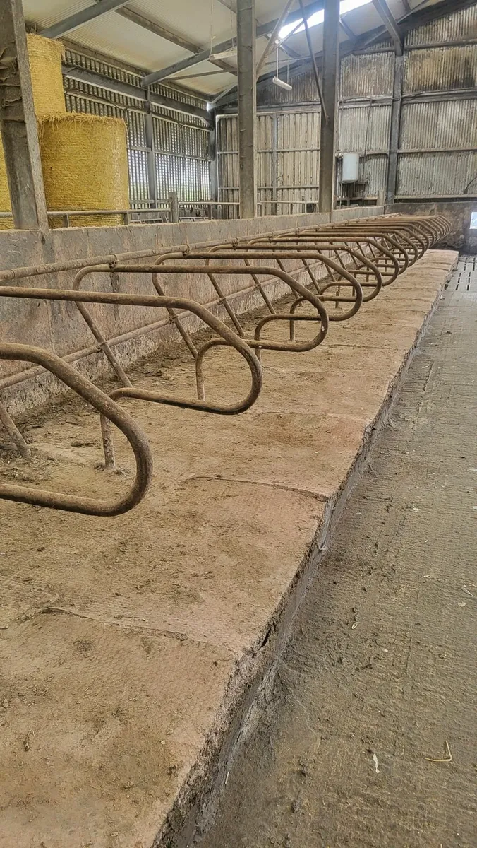 Cubicles - Image 4