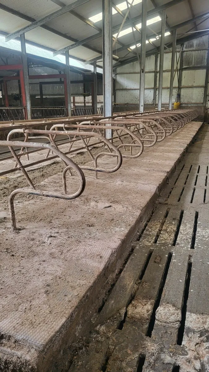 Cubicles - Image 1