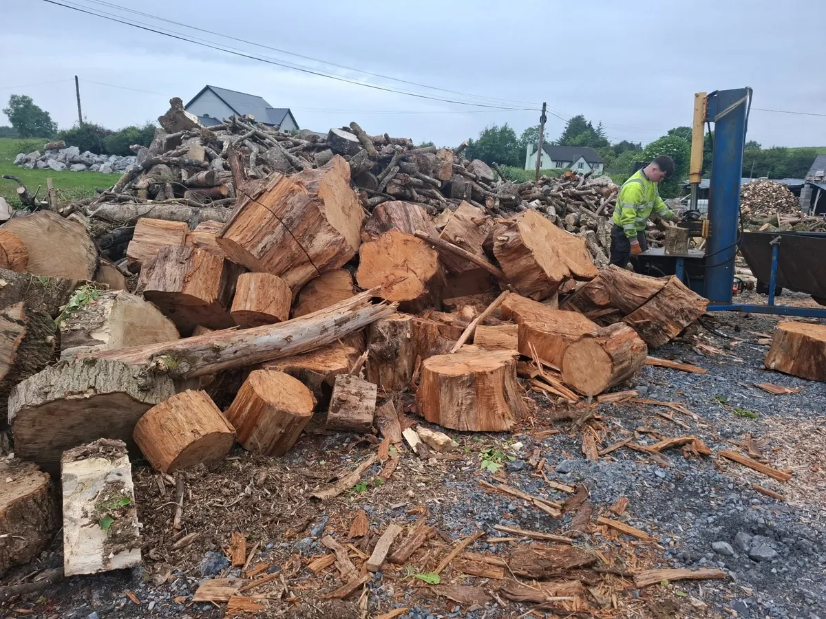 seasoned firewood for sale - Image 2
