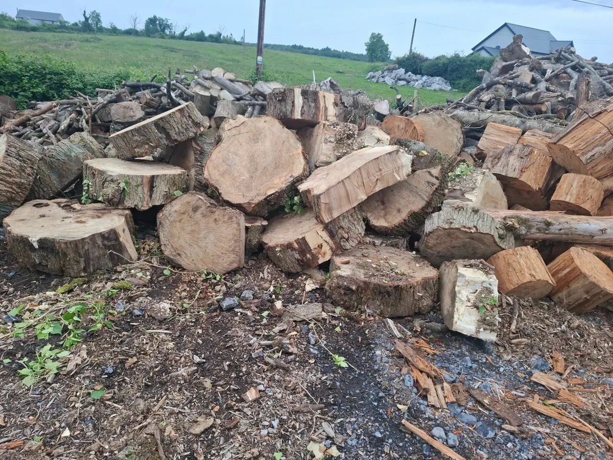 seasoned firewood for sale - Image 4