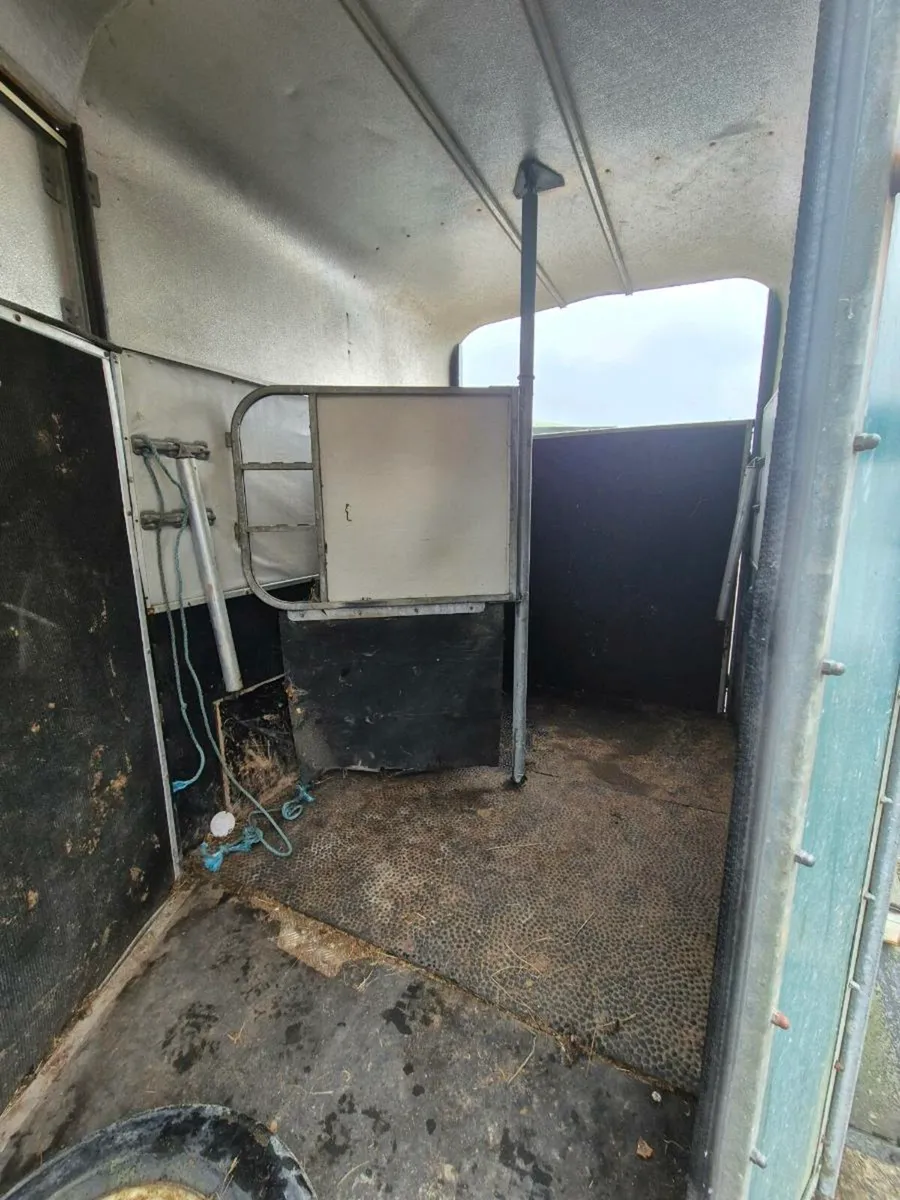 Horsebox - Image 4