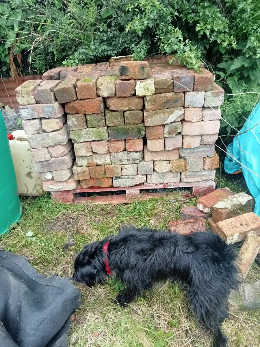 Bricks
