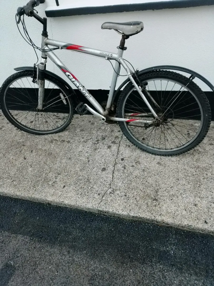 Bike mens Giant - Image 2
