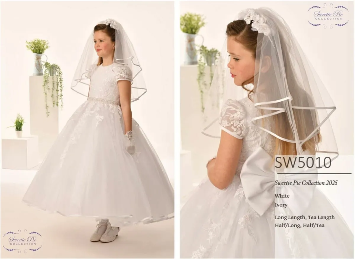 Communion / Flower Girl Dress - Image 1