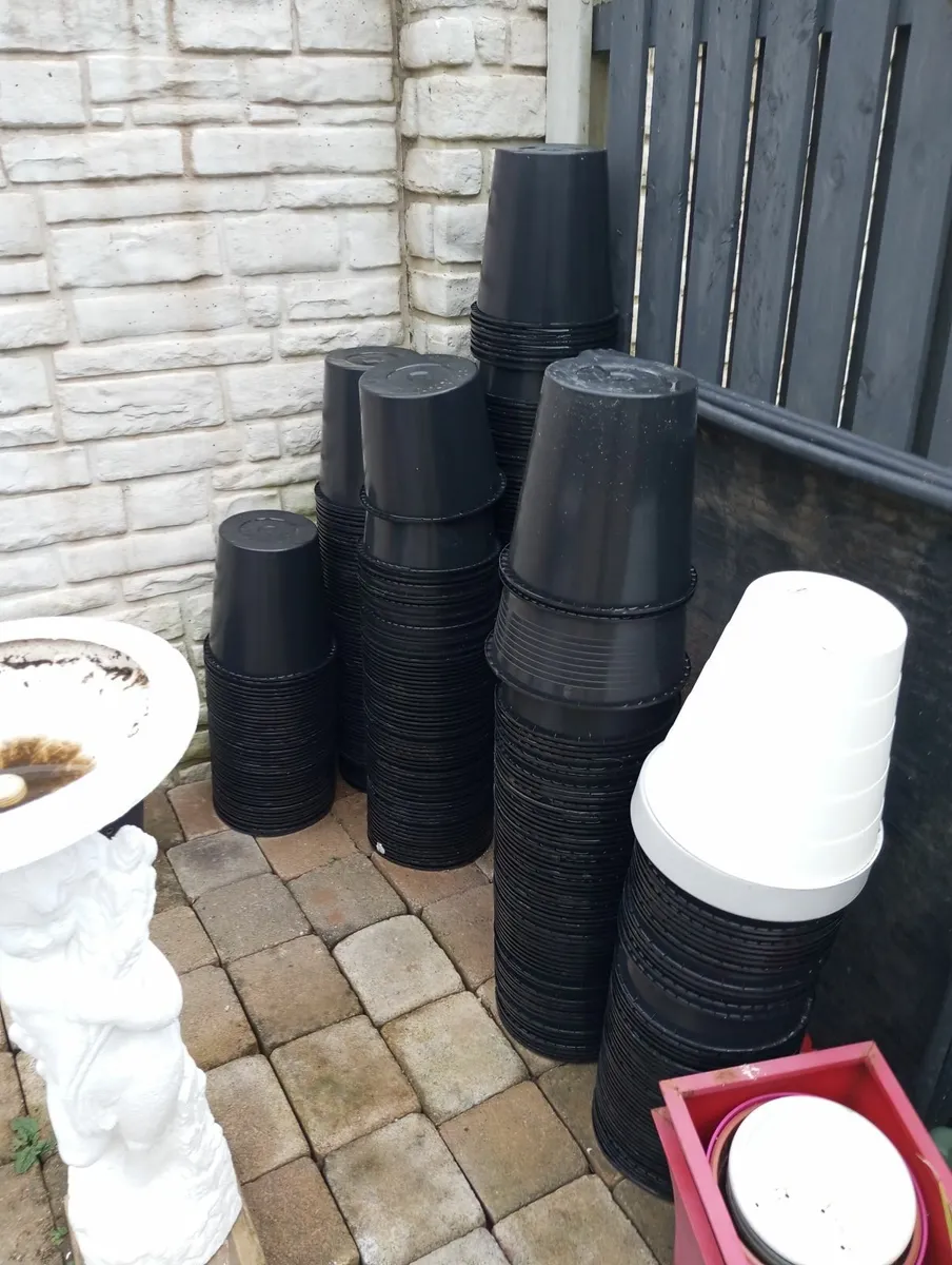 buckets - Image 2
