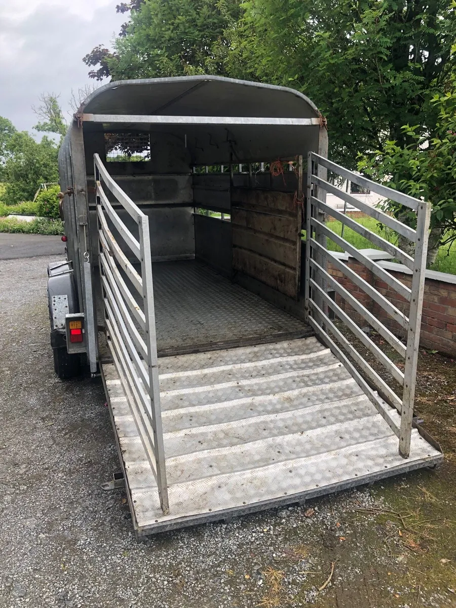 12x6 Nugent trailer - Image 4
