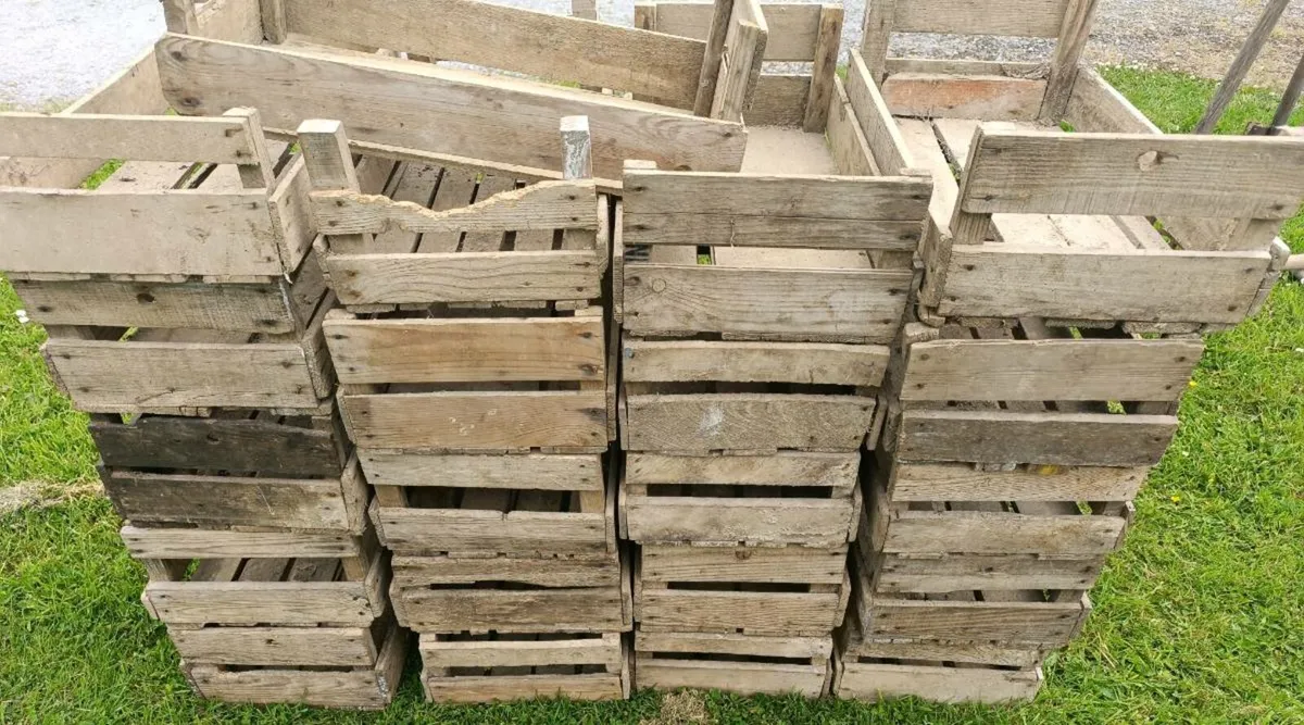 Vintage Potato Crate - Image 3