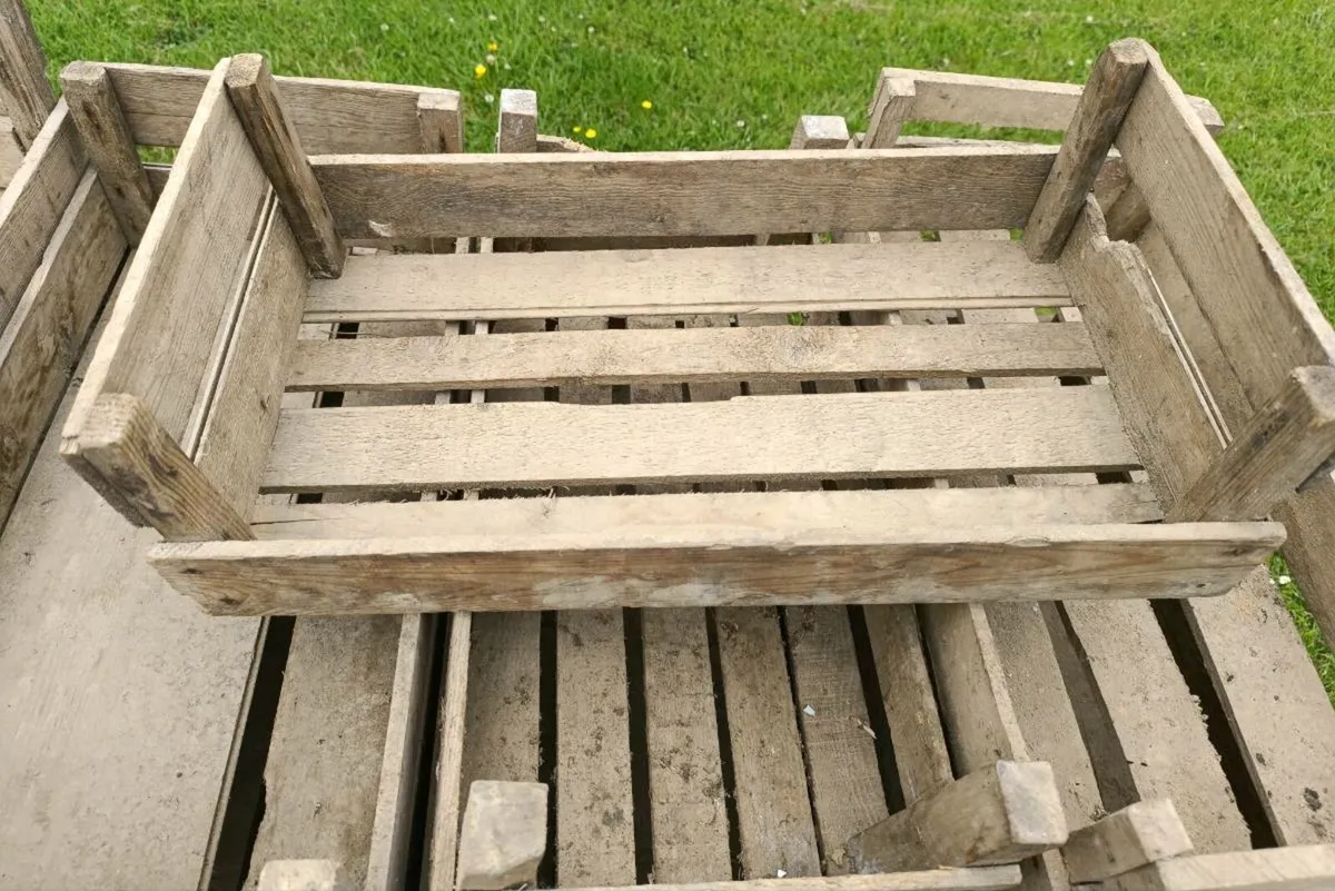 Vintage Potato Crate - Image 4