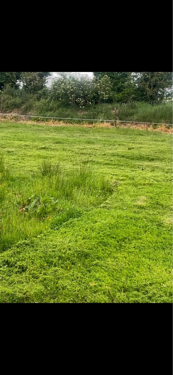 Grass Topping - Image 1