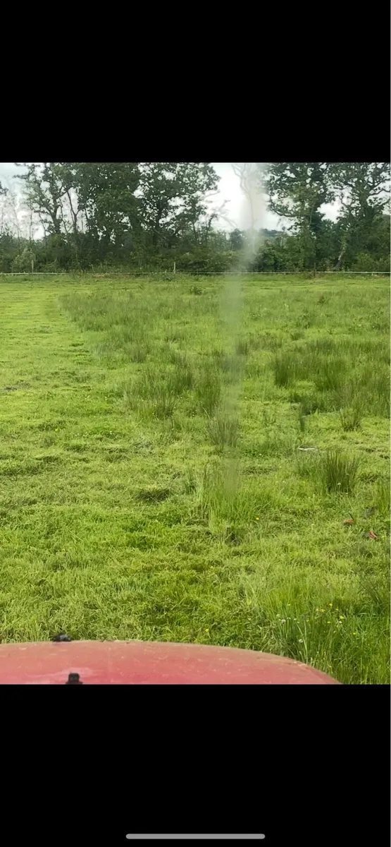 Grass Topping - Image 2